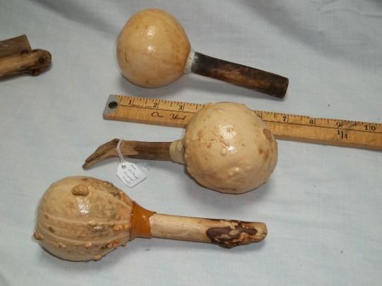 gourd rattles